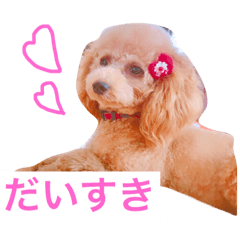 Ringo_20190401054412