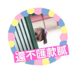 Zoeee小淘氣必買必買