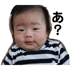 everyday Kengo