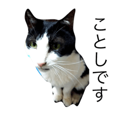 KTUB