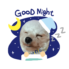 Hunglei Sleepy dog