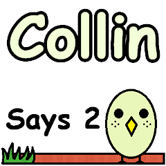 Collin Says 2
