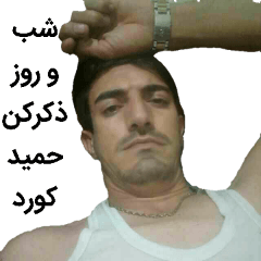 Eli.bashi
