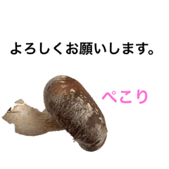 kigisunosato_mushroom