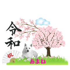 BUBU_20190402224403