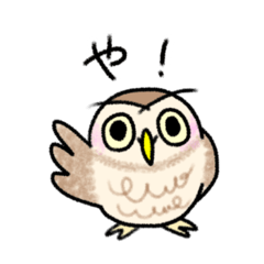 little owl sticker