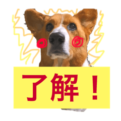 riku_20190329162705