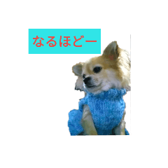 kurumi_20190402012145