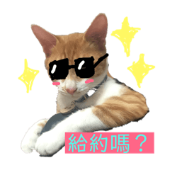 本丸の日常用語