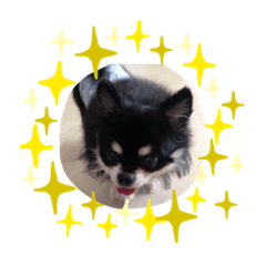 Dsaku