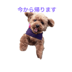 honey_20190329224928