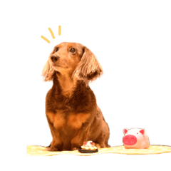 Cherry_20190329233902