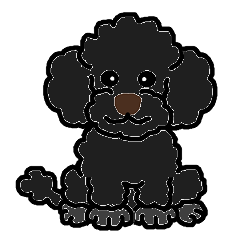 Daily life with toy poodle (black)