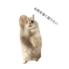 Mu_2019