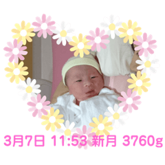 tomomi_2019.3
