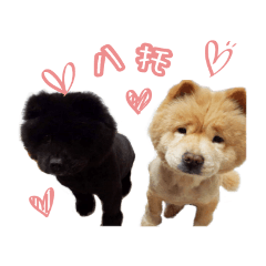 嘟嘟&米米