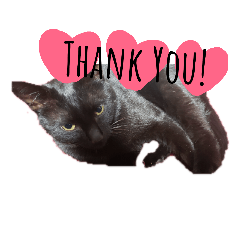 natsumi_20190330103115