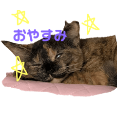 WASABI_20190330074655