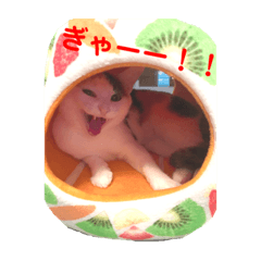 takurin_20190330092150