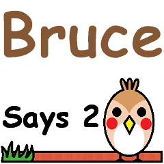 Bruce Says 2