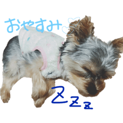 pon_20190403003111