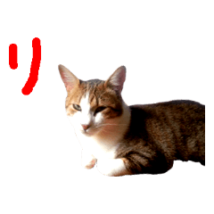 yama_20190330183957