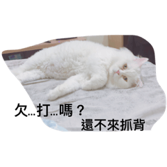 搞怪風趣日常生活