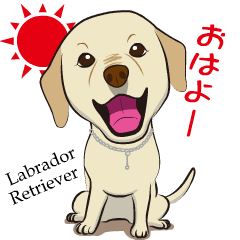 Labrador Retriever named coco
