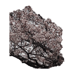 G_20190330135958