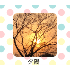 G_20190330141744