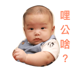 小小金表情包