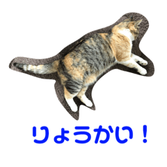 yukina_20190403100837