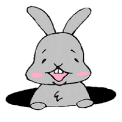 Japanese rabbit pyonkiti