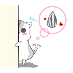 cocoa_20190331143726
