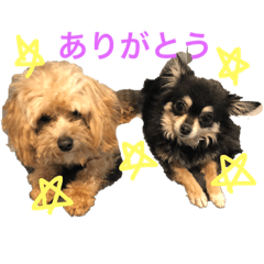 moco_20190331160353