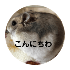 Asuka_20190404012339