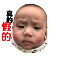 橙哥斌弟