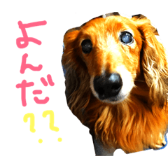 SAWA_20190319122821