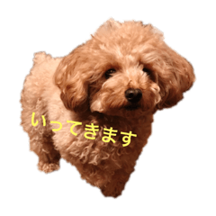yukina_20190331221051