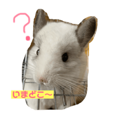 nanamin_2019032820585