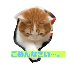 sonioTV.com_20190331225205