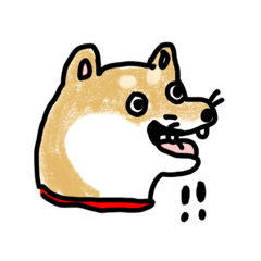 うちの犬まるちゃん