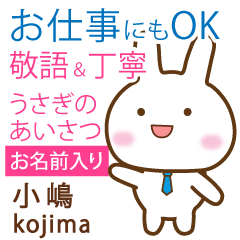 [KOJIMA]Polite greeting. Rabbit!