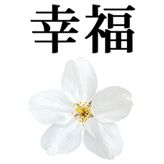 Sakura 3 Kanji