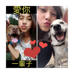 我與巧克力、嘟嘟的日常生活