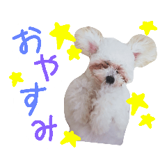 aikenkoachannosutanpu