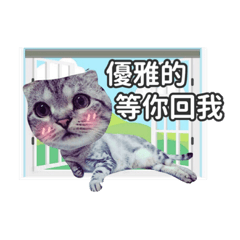 臭屁跟臭屁N的內心小世界