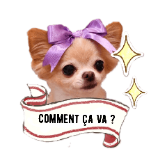 airly's dog  Chihuahua Komomo Ver.2