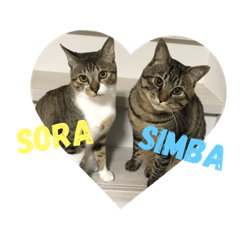 simba.sora