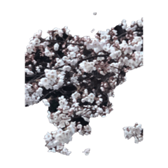 G_20190401210500
